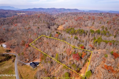 Lot 2 Tatem Marr Way, Sevierville, TN 37876 - photo 3