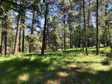 12 Long Dr unit 6W1/2, Mayhill, NM 88339 - photo 4