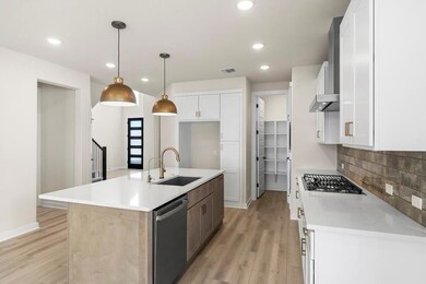 1174 Roger Hanks Pkwy, Dripping Springs, TX 78620 - photo 7