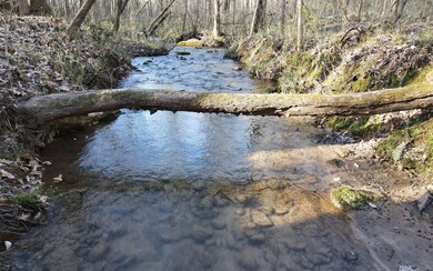 Additional View