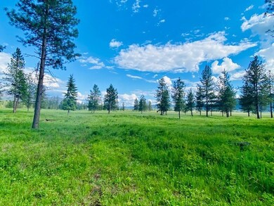 3817 Mt Highway 200, Trout Creek, MT 59874 - photo 3