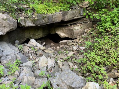 0 Yates Mountain Rd unit RTC2964243, Sparta, TN 38583 - photo 6