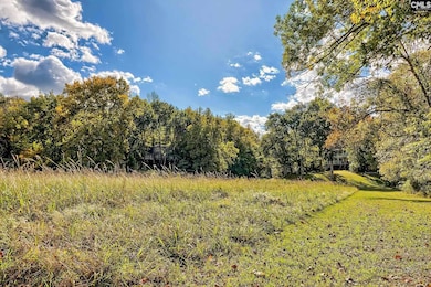 109 Broad Bluff Point, Irmo, SC 29063 - photo 4