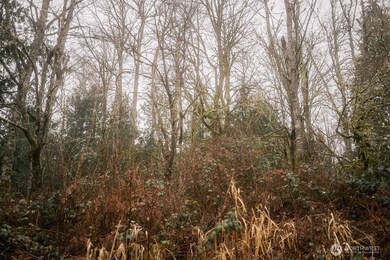 0 Lopez St, Bellingham, WA 98229 - photo 5