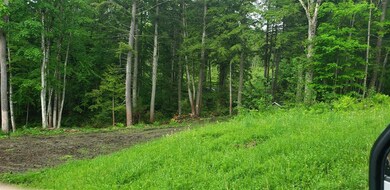 00 Dexter Mountain Rd, Glover, VT 05839 - photo 2