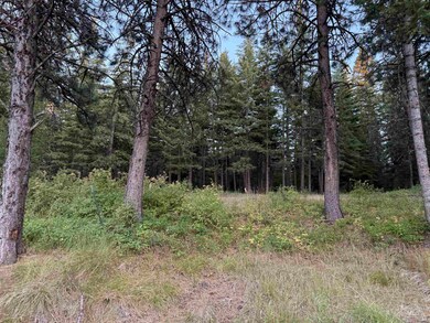 TBD Harlow Ridge Rd - Cloverland Estates 27, Asotin, WA 99402 - photo 2