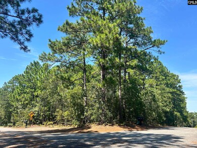 0 Hyland Cir, Pine Ridge, SC 29172 - photo 4