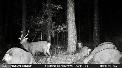 2839 Lakesville Crapo Rd, Church Creek, MD 21622 - photo 3