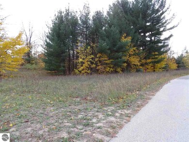 Lot 67 Eden St, Kingsley, MI 49649 - photo 4