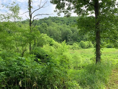 Ciciora 2256 Wayside-Talcott Rd Pic 1