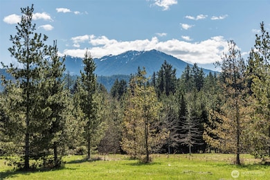 4890 Lost Mountain, Sequim, WA 98382 - photo 2