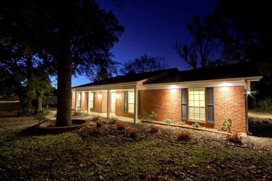 203 Redwater Rd, Wake Village, TX 75501 - photo 4