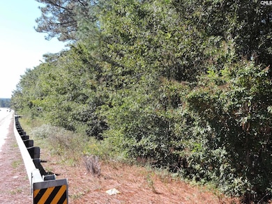 1250 S Lake Dr, Lexington, SC 29073 - photo 5