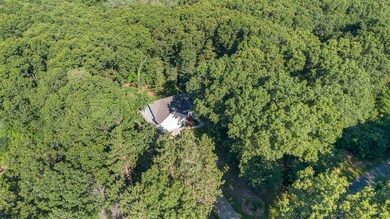 006_dji_0106