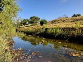0 Ranch Road 965, Fredericksburg, TX 78624 - photo 3
