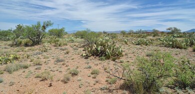 Quiet Desert Space
