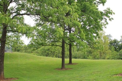 2056 Bear Creek Point, Cookeville, TN 38506 - photo 4