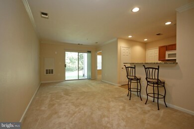 4522 Superior Square unit 4522, Fairfax, VA 22033 - photo 4