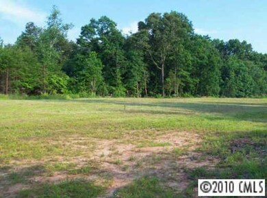 0 Lucy Ln, Statesville, NC 28625 - photo 3