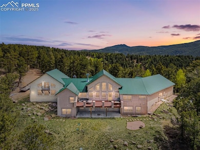 252 Running Elk Point, Divide, CO 80814 - photo 5