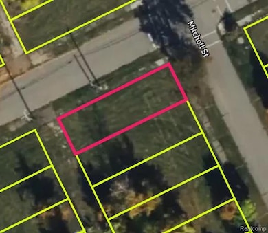 5361 Mitchell St, Detroit, MI 48211 - photo 3