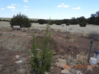 1C Tierra de Dios, Rowe, NM 87567 - photo 6