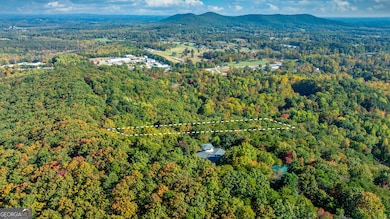 333 Song Bird Dr, Cleveland, GA 30528 - photo 4