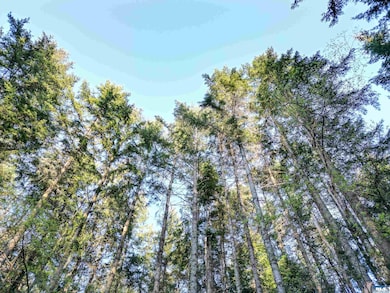 NKA Discovery Ridge Rd, Port Townsend, WA 98368 - photo 7