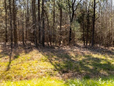 267 Marshall Rd, Pittsboro, NC 27312 - photo 7