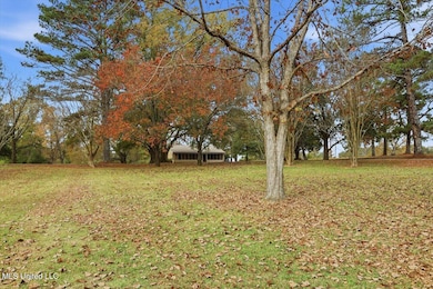 921 S Pearson Rd, Pearl, MS 39208 - photo 4