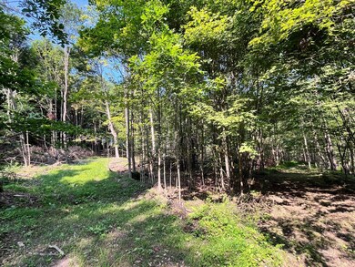 VL Ritter Hollow Rd, New Albion, NY 14719 - photo 4