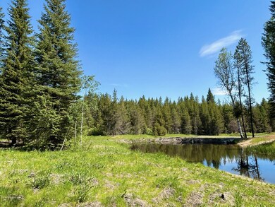 TBD Sawtooth Loop, Cascade, ID 83611 - photo 6