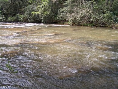 Lewis Fork