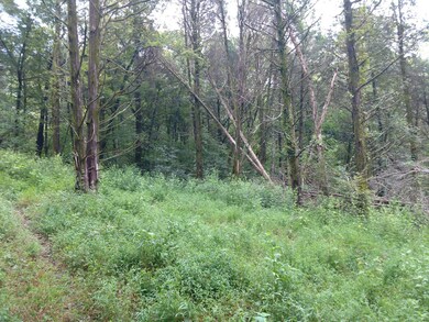 wooded sites