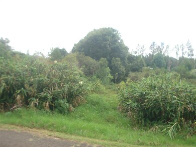 000 Ehu Iki Place, Makawao, HI 96768 - photo 6