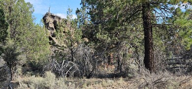 0 Little Fawn Dr unit 10 220209377, Chiloquin, OR 97624 - photo 2