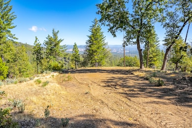 0 Tbd Wagner Ridge Rd, Coulterville, CA 95311 - photo 3