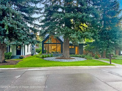 526 W Hallam St, Aspen, CO 81611 - photo 4