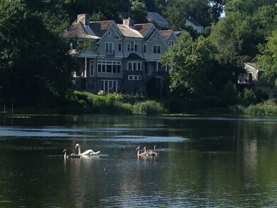 Mianus River View
