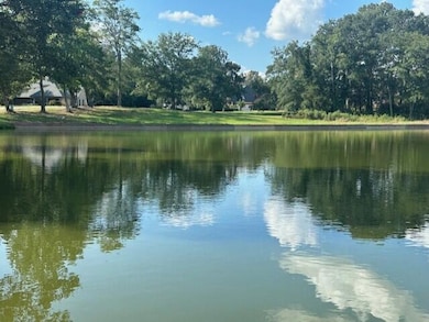 Lot 31 Waverly Dr, West Point, MS 39773 - photo 3