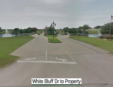 30027 Woodcrest Ct, Whitney, TX 76692 - photo 3