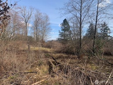 9924 Markworth Rd, Lynden, WA 98264 - photo 4