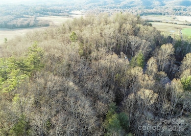 D17 Caroline Ln, Pisgah Forest, NC 28768 - photo 3