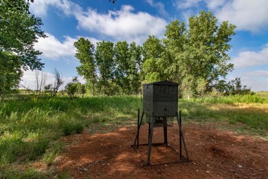 0 Spring Creek 160 Acres unit 25-8120, Memphis, TX 79245 - photo 7