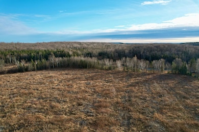 10 Acres Cth N, Crandon, WI 54511 - photo 2