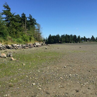 0 Dodd St, Blaine, WA 98230 - photo 3