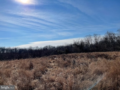 21828 Clear Creek Ln, Aldie, VA 20105 - photo 3