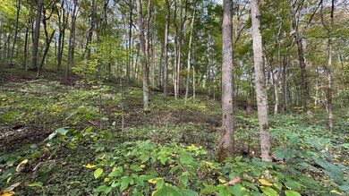 5139 Peggy Hollow Rd, Shoals, IN 47581 - photo 7