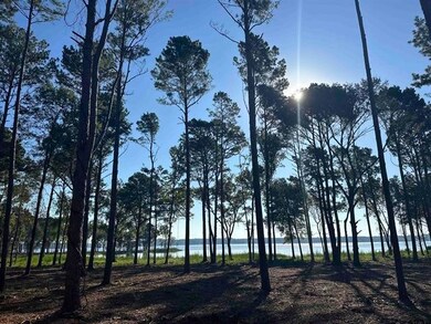 Lot 43 Oak River, Frankston, TX 75763 - photo 4