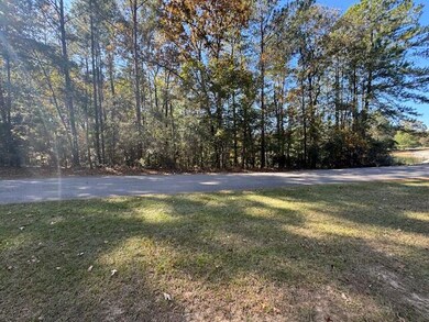 Lot #19 W Bay Dr, Lumberton, MS 39455 - photo 7